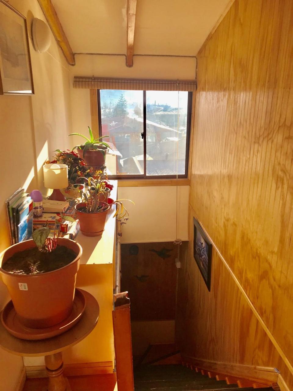 Hostal Patagonia Marmol Coyhaique Εξωτερικό φωτογραφία